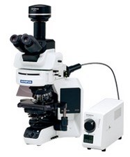 OLYMPUS BX43 BX53 флуоресцентный