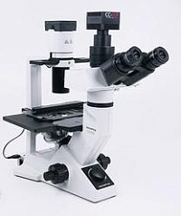 Olympus CKX41